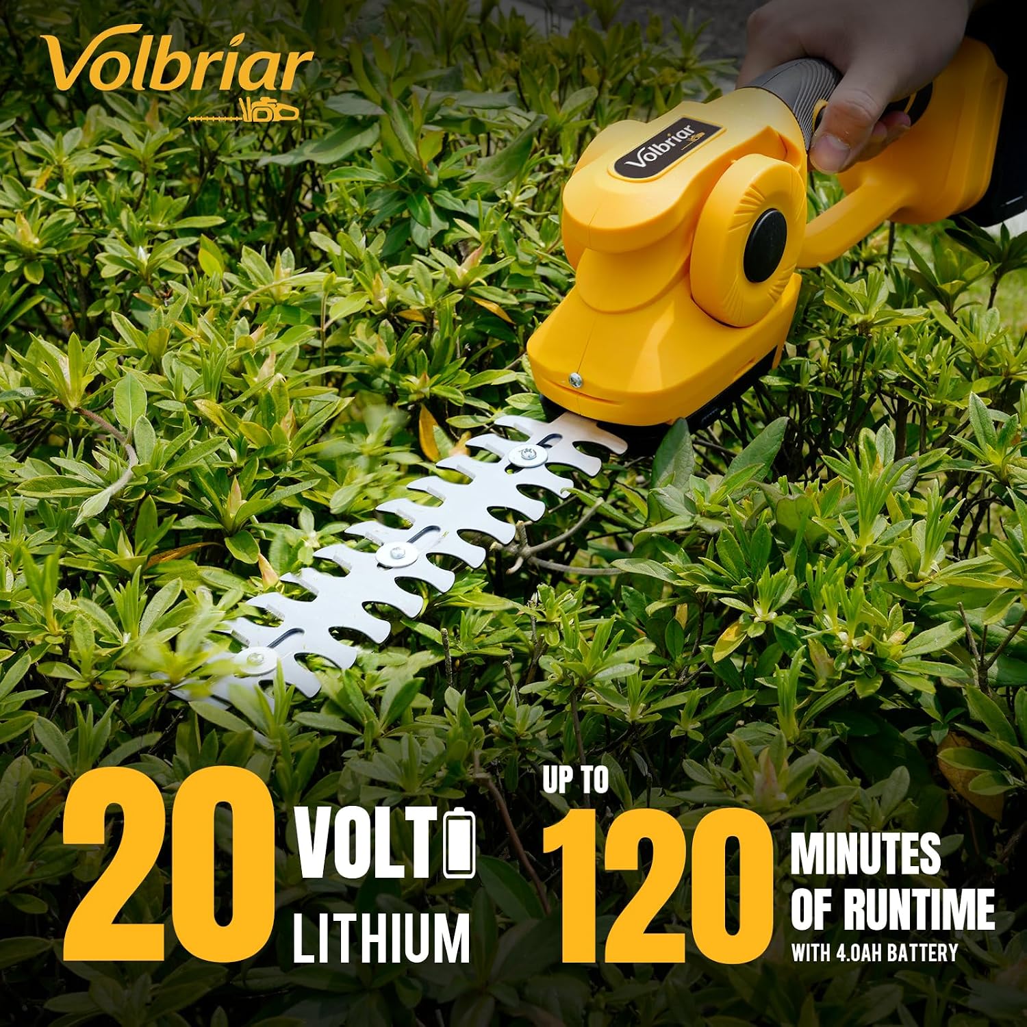مقص سياج وعشب لاسلكي 2 في 1، ب - مراجعة Cordless Hedge Trimmer Pole 2 In 1 وسعره
