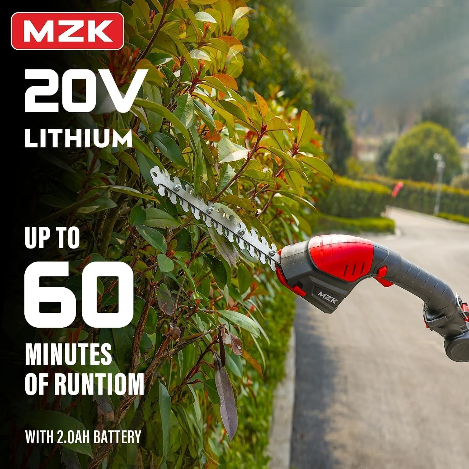 مقص تشذيب الشجيرات والعشب 2 في - مراجعة Cordless Hedge Trimmer Pole 2 In 1 وسعره